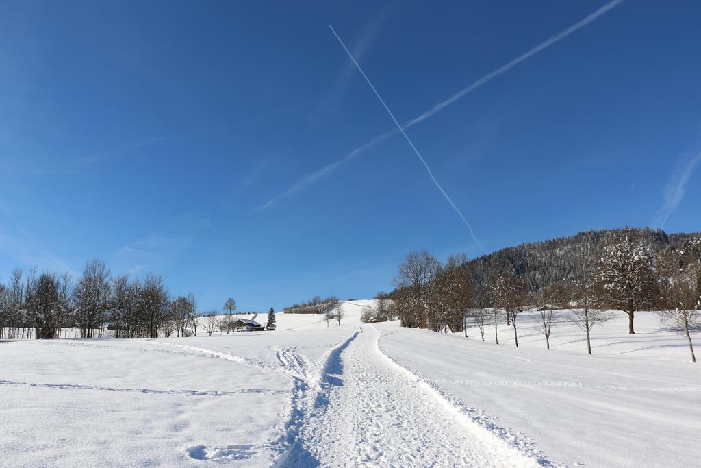 Deva Villa Mittermaier Reit im Winkl Exteriér fotografie